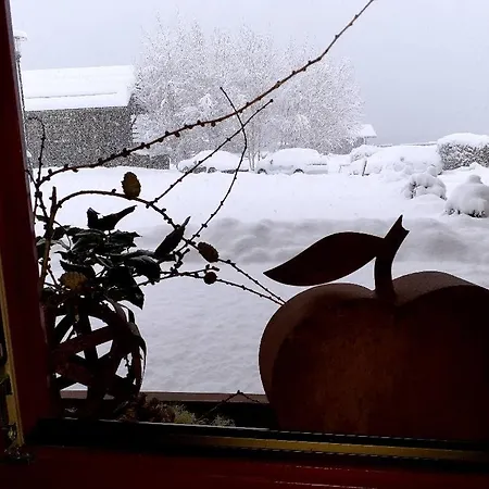 Apartman Haus Jakober *