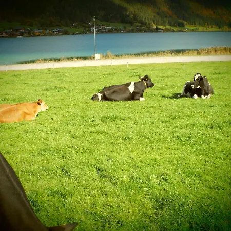 Haus Jakober Weissensee