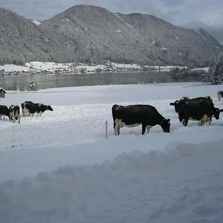 Apartman Haus Jakober *