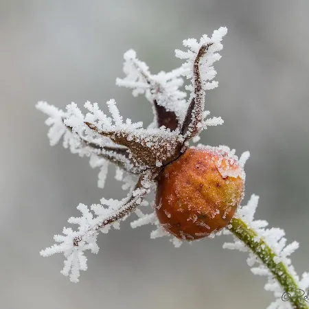 Haus Jakober Apartman Weissensee