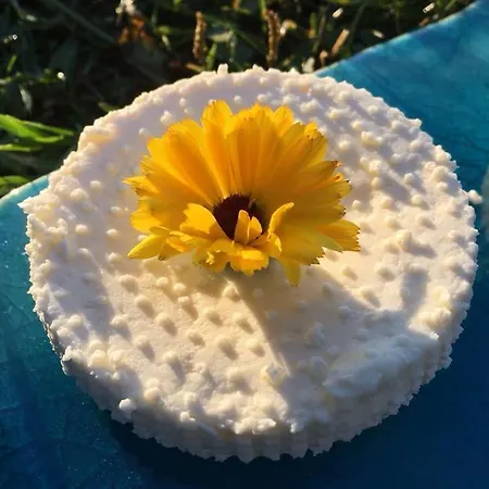 Haus Jakober * Weissensee